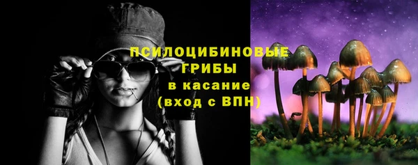 шишки Волоколамск