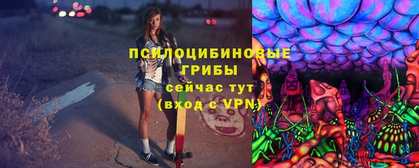 шишки Волоколамск