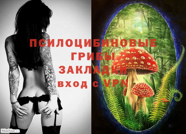 индика Верхнеуральск